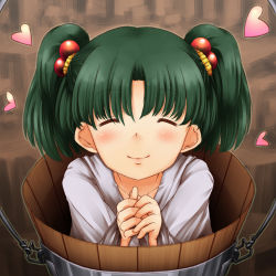 Rule 34 | 1girl, 33kudo, bbb (33kudo), bucket, child, closed eyes, female focus, hair bobbles, hair ornament, heart, in bucket, in container, kisume, short hair, solo, touhou, twintails