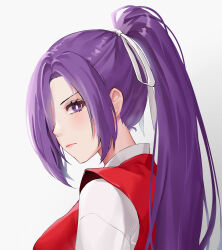 Rule 34 | 1girl, aroevela, bright pupils, closed mouth, commentary, grey background, hair over one eye, highres, long hair, looking at viewer, meira (touhou), ponytail, purple eyes, purple hair, simple background, solo, touhou, touhou (pc-98), upper body, white pupils