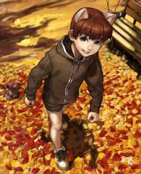 Rule 34 | 1boy, animal ears, autumn, autumn leaves, bare legs, bench, brown eyes, brown hair, cat boy, cat ears, clenched hands, cross-laced footwear, drawstring, from above, full body, grin, hood, hood down, hoodie, kujiranohane, leaf, long sleeves, looking at viewer, male focus, matching hair/eyes, no socks, original, outdoors, park bench, shadow, shoes, shorts, smile, sneakers, solo, teeth, walking, zipper