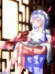 Rule 34 | 1girl, besuteia, bird wings, blue footwear, blue hair, blush, capelet, chair, commentary request, day, feathered wings, foot out of frame, hair between eyes, head wings, highres, indoors, crossed legs, looking to the side, multicolored hair, parted lips, red eyes, red wings, scroll, shadow, short hair, single head wing, sitting, slippers, solo, sunlight, tokiko (touhou), touhou, two-tone hair, white capelet, white hair, window, wings