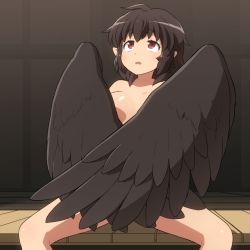 Rule 34 | 1girl, bird wings, black hair, black wings, breasts, completely nude, feathered wings, looking up, medium breasts, nude, open mouth, pointy ears, red eyes, shameimaru aya, shirosato, short hair, sitting, solo, touhou, wings