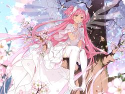 Rule 34 | absurdly long hair, blue sky, cherry blossoms, day, dress, drinking, high heels, hoshii hisa, in tree, kaname madoka, long hair, mahou shoujo madoka magica, mahou shoujo madoka magica (anime), milk carton, outdoors, pink hair, sitting, sitting in tree, sky, solo, thighhighs, tree, twintails, two side up, ultimate madoka, very long hair, white dress, white thighhighs, yellow eyes