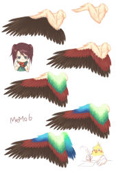 Rule 34 | 1girl, anatomy, animal, beak, bird, brown hair, cockatiel, drawing, eating, era (traveling bird), feathers, fishball, food, green eyes, how to, original, quill, simple background, twintails, wings