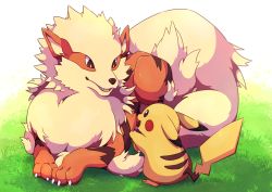 Rule 34 | arcanine, bright pupils, brown eyes, claws, commentary request, creatures (company), eye contact, fangs, game freak, gen 1 pokemon, grass, highres, kechon-san, looking at another, lying, nintendo, open mouth, pikachu, pokemon, pokemon (creature), standing, white pupils
