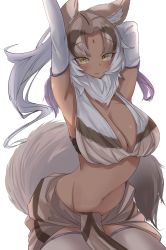 Rule 34 | 1girl, animal ears, arm behind head, armpits, arms up, breasts, brown hair, buchibussei, cowboy shot, dark-skinned female, dark skin, elbow gloves, facial mark, forehead mark, fur collar, gloves, highres, indian wolf (kemono friends), kemono friends, large breasts, leaning forward, light smile, long hair, looking at viewer, multicolored hair, navel, outstretched arm, parted lips, purple hair, solo, stomach, stretching, tail, thighhighs, white hair, wolf ears, wolf girl, wolf tail, yellow eyes