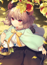Rule 34 | 1girl, animal, animal ears, animal on shoulder, apple, basket, black skirt, blue capelet, blush, capelet, commentary request, dappled sunlight, dowsing rod, food, fruit, grapes, grass, grey hair, highres, jewelry, leaf, long sleeves, mouse (animal), mouse ears, mouse tail, nazrin, orange (fruit), pendant, red eyes, ribbon, shirt, short hair, skirt, smile, solo, sunlight, tail, tomobe kinuko, touhou, walking, white shirt, yellow neckwear, yellow ribbon