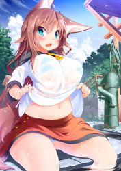 Rule 34 | 1girl, animal ears, blue eyes, blush, bra, breasts, brown hair, clothes lift, cloud, cloudy sky, day, fang, female focus, hand pump, highres, imaizumi kagerou, koha, large breasts, long hair, looking at viewer, navel, open mouth, panties, pump, see-through, shirt, shirt lift, sitting, skirt, sky, solo, striped bra, striped clothes, striped panties, tail, touhou, tree, underwear, water, water pump, wet, wolf ears, wolf tail