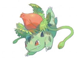 Rule 34 | bud, closed mouth, creatures (company), fangs, flower, full body, game freak, gen 1 pokemon, ivysaur, leaf, muginoomoti, nintendo, no humans, pokemon, pokemon (creature), red eyes, red flower, simple background, smile, solo, white background