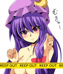 Rule 34 | 1girl, blush, breasts squeezed together, breasts, cleavage, crescent, crescent hat ornament, female focus, hair ribbon, hat, hat ornament, long hair, medium breasts, mukyuu, patchouli knowledge, purple hair, ribbon, shin-mottie, solo, topless, touhou