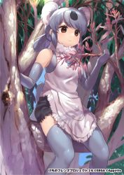 Rule 34 | 1girl, animal ears, apron, bare shoulders, brown eyes, commentary request, elbow gloves, fur collar, gloves, grey gloves, grey hair, grey thighhighs, in tree, kemono friends, kemono friends 3, koala (kemono friends), looking away, official art, sitting, sitting in tree, smile, solo, tadano magu, thighhighs, tree, white apron