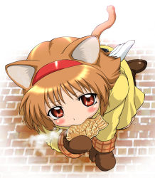 Rule 34 | :&gt;, all fours, angel wings, animal ears, blush, brown eyes, brown hair, cat ears, cat tail, coat, crawling, eating, food, from above, hairband, kanon, looking up, mittens, mouth hold, red eyes, short hair, solo, steam, tail, taiyaki, tsukimiya ayu, ueyama michirou, wagashi, wings