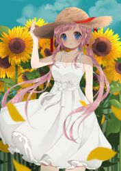 Rule 34 | 1girl, arm behind back, blue eyes, blue sky, blush, braid, breasts, closed mouth, cloud, collarbone, cowboy shot, day, dress, field, floating hair, flower, flower field, hat, highres, holding, holding clothes, holding hat, light smile, long hair, looking at viewer, low twintails, medium breasts, original, outdoors, petals, pink hair, sky, smile, solo, straw hat, sundress, sunflower, sunflower field, swept bangs, twintails, usamochi., usamochi (7290381), white dress, wind