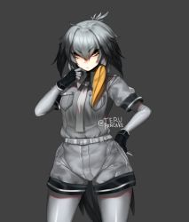 Rule 34 | 10s, 1girl, bird tail, black gloves, bodystocking, breast pocket, commentary, cowboy shot, fingerless gloves, gloves, grey background, grey hair, grey shirt, hair between eyes, hand on own chin, hand on own hip, head wings, kemono friends, looking at viewer, necktie, pantyhose, pocket, serious, shirt, shoebill (kemono friends), shorts, side ponytail, solo, tail, terupancake, twitter username, wings, yellow eyes