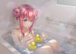 Rule 34 | 1girl, absurdres, bath, bathing, bathroom, bathtub, blue eyes, blush, bocchi the rock!, breasts, closed mouth, collarbone, completely nude, double bun, gotoh hitori, hair bun, hands up, highres, indoors, knees up, large breasts, looking at object, nude, partially submerged, pink hair, rainbow--chaser, rubber duck, sidelocks, sitting, solo, steam, sunlight, water, wet, wet hair