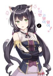 Rule 34 | 1girl, anger vein, animal ear fluff, animal ears, bad id, bad twitter id, bare shoulders, black hair, blush, bow, breasts, cat ears, cat girl, cat tail, cowboy shot, crossed arms, detached sleeves, fang, green eyes, grey background, heart, highres, karyl (princess connect!), long hair, long sleeves, low twintails, medium breasts, multicolored hair, open mouth, pink bow, princess connect!, skin fang, solo, spoken number, streaked hair, tail, twintails, ugi (ugi rns), white hair