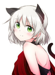 Rule 34 | 1girl, animal ears, blush, cat ears, dress, green eyes, looking at viewer, red dress, sanya v. litvyak, short hair, silver hair, simple background, smile, solo, strike witches, tsuchii (ramakifrau), upper body, white background, world witches series