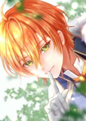 Rule 34 | 1boy, absurdres, ahoge, closed mouth, finger to mouth, fj2020, gloves, green background, green eyes, highres, jel (stpri), leaf, long sleeves, looking at viewer, male focus, orange hair, shirt, short hair, shushing, smile, solo, strawberry prince, white gloves, white shirt
