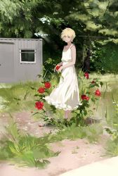 Rule 34 | 1boy, :|, aimitkkays, blonde hair, chain, closed mouth, commentary, crossdressing, day, dress, earrings, eyebrows hidden by hair, flower, full body, grass, highres, hunter x hunter, jewelry, kurapika, long dress, looking at viewer, male focus, outdoors, red eyes, red flower, red rose, rose, short hair, sleeveless, sleeveless dress, solo, standing, sundress, trap, tree, white dress