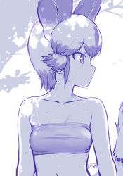 Rule 34 | 1girl, african wild dog (kemono friends), animal ears, bandeau, bare shoulders, breasts, closed mouth, collarbone, commentary request, greyscale, highres, kemono friends, looking to the side, masuyama ryou, monochrome, multicolored hair, profile, short hair, small breasts, solo, tail, tree shade, upper body, water drop, wet