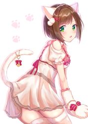 Rule 34 | 1girl, animal ears, animal hands, anoa, bare shoulders, blush, bracelet, brown hair, cat ears, cat paws, cat tail, commentary request, cowboy shot, dress, fake animal ears, fang, green eyes, hair ornament, hairclip, highres, idolmaster, idolmaster cinderella girls, idolmaster cinderella girls starlight stage, jewelry, looking at viewer, maekawa miku, open mouth, paw print, pendant, pom pom (clothes), red ribbon, ribbon, short hair, simple background, solo, tail, thighhighs, white background, white thighhighs