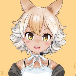Rule 34 | animal ears, blouse, coyote (kemono friends), gloves, kemono friends, kemono friends v project, necktie, official art, shirt, simple background, skirt, solo, tail, virtual youtuber, white shirt