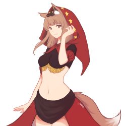Rule 34 | 1girl, animal ears, breasts, brown hair, cosplay, cowboy shot, ddrake13, holo, hood, looking at viewer, navel, odin sphere, puffy sleeves, red hood, short sleeves, simple background, solo, spice and wolf, star (symbol), tagme, tail, velvet (odin sphere), velvet (odin sphere) (cosplay), white background, wolf ears, wolf tail