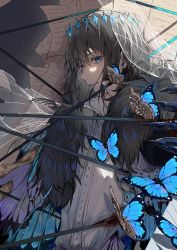 Rule 34 | 1boy, blue eyes, bug, cape, crown, fate/grand order, fate (series), fur-trimmed cape, fur trim, grey hair, highres, insect wings, long hair, male focus, oberon (fate), oberon (third ascension) (fate), shirt, solo, spoilers, uncleko5, upper body, white shirt, wings