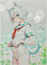 Rule 34 | 1girl, absurdres, animal ear fluff, animal ears, blue eyes, cat ears, cat girl, cat tail, clothes lift, highres, katsu (24791909), looking at viewer, neckerchief, one-piece swimsuit, original, red neckerchief, school uniform, see-through, see-through swimsuit, serafuku, shirt lift, swimsuit, swimsuit under clothes, tail, traditional media, white hair, white one-piece swimsuit, white serafuku