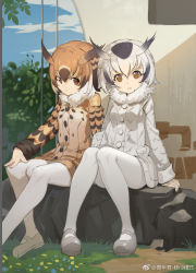 Rule 34 | 10s, 2girls, :/, :o, :|, arm support, beige coat, beige shoes, blonde hair, blue sky, brown coat, brown eyes, brown hair, building, buttons, closed mouth, cloud, coat, day, eurasian eagle owl (kemono friends), expressionless, eyelashes, flower, full body, fur collar, grass, grey coat, grey footwear, grey hair, hand on own knee, kemono friends, knees together feet apart, light brown hair, long sleeves, looking at viewer, mary janes, multicolored coat, multicolored hair, multiple girls, northern white-faced owl (kemono friends), open mouth, outdoors, pantyhose, pocket, rock, seinen, shadow, shoes, sitting, sitting on rock, sky, sleeve cuffs, sunlight, tree, weibo watermark, white hair, white legwear, window
