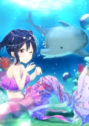 Rule 34 | 1girl, air bubble, animal, bare shoulders, bikini, black hair, blush, bow, bracelet, bubble, closed mouth, commentary request, coral, day, dolphin, earrings, frilled bikini, frills, from side, groin, hair between eyes, highres, jewelry, kokone (coconeeeco), layered bikini, long hair, love live!, love live! school idol festival, love live! school idol project, mermaid, monster girl, monsterification, navel, one eye closed, outdoors, pearl bracelet, purple bow, red eyes, sitting, solo, strapless, strapless bikini, sunlight, swimsuit, twintails, underwater, underwear, wavy mouth, yazawa nico