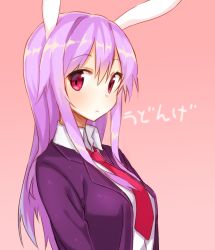 Rule 34 | 1girl, animal ears, bad id, bad pixiv id, breasts, jacket, long hair, long sleeves, looking at viewer, necktie, pink background, purple hair, rabbit ears, red eyes, red necktie, reisen udongein inaba, shirt, shnva, simple background, solo, touhou