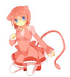 Rule 34 | 1girl, animal ears, back bow, blue eyes, blush, bow, breasts, cat ears, cat girl, cat tail, creatures (company), dress, female focus, frilled dress, frilled sleeves, frills, full body, game freak, gen 1 pokemon, hair between eyes, kneeling, legendary pokemon, light blush, long sleeves, looking at viewer, mew (pokemon), mythical pokemon, nintendo, nose blush, open mouth, pantyhose, personification, pink bow, pink dress, pink hair, pink theme, pokemon, puddingx2, red footwear, shoes, short dress, short hair, sidelocks, simple background, sleeves past wrists, small breasts, solo, tail, white background, white pantyhose