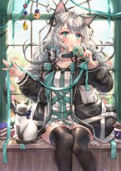Rule 34 | 1girl, animal, animal ears, arknights, black jacket, black thighhighs, blue bow, blurry, blurry background, blush, bow, car, cat ears, cat girl, cat tail, coffee cup, collarbone, commentary request, cup, depth of field, disposable cup, feet out of frame, food, green eyes, grey hair, highres, holding, holding food, ice cream cone, jacket, looking at viewer, mint (arknights), motor vehicle, name connection, nyamaso, object namesake, open clothes, open jacket, parted lips, shirt, solo, tail, teeth, thighhighs, upper teeth only, white shirt, window