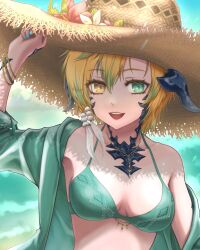 Rule 34 | 1girl, au ra, bikini, blonde hair, blurry, blurry background, breasts, cleavage, dragon horns, final fantasy, final fantasy xiv, flower, green bikini, green eyes, green jacket, hat, hat flower, heterochromia, highres, holding, holding clothes, holding hat, horns, jacket, jewelry, kawasumi mahiro, large hat, looking at viewer, multicolored hair, multiple bracelets, necklace, ocean, open mouth, scales, short hairt, small breasts, smile, solo, straw hat, streaked hair, swimsuit, teeth, upper body, upper teeth only, warrior of light (ff14), yellow eyes