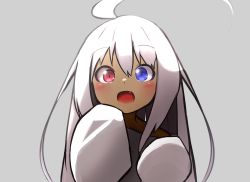 Rule 34 | 1girl, :o, absurdres, ahoge, blue eyes, blush, commentary request, fang, grey background, hair between eyes, hands up, heterochromia, highres, idaten93, long hair, long sleeves, looking at viewer, open mouth, original, oversized clothes, oversized shirt, red eyes, ruua (idaten93), shirt, simple background, sleeves past fingers, sleeves past wrists, solo, upper body, very long hair, white hair, white shirt