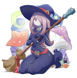 1girl artist_logo bayeuxman breasts broom closed_mouth covered_erect_nipples covered_navel eyebrows_hidden_by_hair full_body groin hair_over_one_eye hat highres holding holding_broom kneeling large_breasts large_hat little_witch_academia logo long_hair looking_at_viewer mushroom pale_skin pink_hair purple_hat purple_robe red_eyes robe seiza shadow shirt sitting sleeves_past_wrists solo sucy_manbavaran white_background white_shirt witch_hat