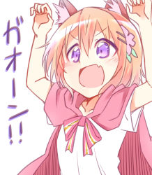 Rule 34 | &gt;:d, 1girl, animal ears, arms up, bad id, bad pixiv id, bare arms, blush, bow, breasts, cape, claw pose, collarbone, fang, gao, gochuumon wa usagi desu ka?, hair between eyes, hair ornament, hairclip, hetareeji, hoto cocoa, kemonomimi mode, looking at viewer, orange hair, pink bow, pink cape, purple eyes, shirt, short hair, short sleeves, small breasts, solo, striped, striped bow, upper body, v-shaped eyebrows, white background, white shirt, wolf ears