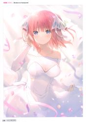 Rule 34 | 1girl, 6u (eternal land), absurdres, bare shoulders, blurry, blurry background, blush, bow, breasts, character name, cleavage, closed mouth, collarbone, copyright name, depth of field, dress, go-toubun no hanayome, hair bow, hair ornament, hair ribbon, hand up, highres, holding, long sleeves, looking at viewer, medium breasts, nakano nino, off-shoulder dress, off shoulder, page number, petals, pink hair, purple eyes, ribbon, scan, see-through, short hair, simple background, skirt hold, sleeves past wrists, smile, solo, sparkle, strapless, strapless dress, two side up, wedding dress, white dress, white ribbon