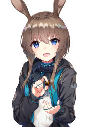 Rule 34 | 1girl, :d, amiya (arknights), animal ears, arknights, ascot, bencao gangmu (19), black ascot, black jacket, blue eyes, brown hair, commentary request, highres, holding, jacket, jewelry, long sleeves, looking at viewer, neck ring, open clothes, open jacket, open mouth, rabbit girl, ring, shirt, short hair with long locks, sidelocks, simple background, smile, solo, tareme, upper body, white background, white shirt