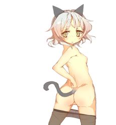 Rule 34 | 00s, 1girl, animal ears, ass, back, black pantyhose, blush, breasts, cat ears, cat tail, clothes pull, from behind, green eyes, highres, looking back, nipples, pantyhose, pantyhose pull, parted lips, prnt, pussy, sanya v. litvyak, short hair, silver hair, small breasts, solo, strike witches, tail, topless, uncensored, world witches series