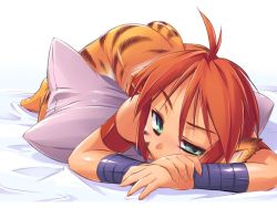 Rule 34 | 1girl, animal ears, breasts, breath of fire, breath of fire ii, capcom, cat ears, cat tail, furry, furry female, green eyes, no panties, no pants, orange hair, pillow, pointy ears, redrantem, rinpoo chuan, short hair, small breasts, solo, striped, tail, tomoshibi hidekazu