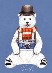 Rule 34 | animal, bear, black eyes, black headwear, blue background, bowler hat, hat, looking at viewer, no humans, open mouth, original, polar bear, scarf, signature, simple background, sitting, striped clothes, striped scarf, takigraphic