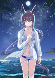 Rule 34 | 1girl, admire vega (umamusume), alternate costume, animal ears, bikini, blue bikini, breasts, brown hair, closed mouth, commentary, feet out of frame, full moon, hair between eyes, harakomeshi, highres, horse ears, horse girl, horse tail, long sleeves, looking at viewer, medium breasts, moon, navel, night, night sky, ocean, open clothes, open shirt, outdoors, palm tree, ponytail, purple eyes, see-through, shirt, sky, solo, star (sky), starry sky, swimsuit, tail, tree, umamusume, water, white shirt