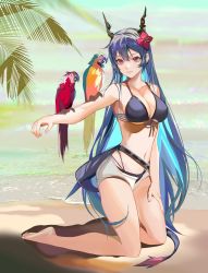 Rule 34 | 1girl, absurdres, animal on arm, arknights, bare arms, bare legs, bare shoulders, barefoot, beach, bikini, bird, black bikini, blue hair, breasts, ch&#039;en (arknights), ch&#039;en the holungday (arknights), ch&#039;en the holungday (elite ii) (arknights), chinese commentary, cleavage, collarbone, commentary request, dragon horns, flower, front-tie bikini top, front-tie top, hair between eyes, hair flower, hair ornament, highres, horns, ken (1057168252), kneeling, large breasts, long hair, navel, official alternate costume, open fly, parrot, red eyes, red flower, short shorts, shorts, smile, solo, stomach, swimsuit, thighs, very long hair, white shorts