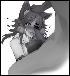 Rule 34 | 1boy, 1girl, animal ear fluff, animal ears, arm strap, bare shoulders, blush, breasts, censored, collar, erection, fur trim, greyscale, headpat, heart, hetero, large breasts, makoto (princess connect!), medium hair, metal collar, mobu, monochrome, open mouth, paizuri, penis, penis on face, penis over one eye, princess connect!, sidelocks, simple background, white background, wolf ears, wolf girl