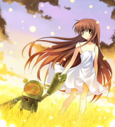 Rule 34 | 00s, brown eyes, brown hair, clannad, dress, dutch angle, garbage doll, girl from the illusionary world, grass, holding hands, long hair, paco, robot, sparkle