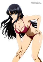 Rule 34 | 1girl, absurdres, bent over, bikini, black hair, blue eyes, breasts, chiyu mahou no machigatta tsukaikata, cleavage, hand on own hip, hand on own knee, hanging breasts, highres, inukami suzune, large breasts, leaning forward, long hair, looking at viewer, magazine scan, megami magazine, navel, o-ring, o-ring top, official art, scan, simple background, smile, swimsuit, thighs, white background