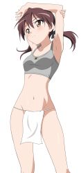 Rule 34 | 1girl, armpits, arms up, bad id, bad pixiv id, blush, bra, breasts, brown eyes, brown hair, cleavage, closed mouth, collarbone, feet out of frame, from below, fundoshi, gertrud barkhorn, grey sports bra, groin, hair ornament, hair ribbon, highres, japanese clothes, medium hair, midriff, navel, pelvic curtain, ribbon, shiny skin, simple background, small breasts, solo, sports bra, standing, strike witches, twintails, underwear, white background, world witches series