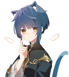 Rule 34 | 1boy, a.a (aa772), animal ear fluff, animal ears, black jacket, blue hair, blush, brown eyes, cat boy, cat ears, cat tail, closed mouth, commentary request, drawn wings, earrings, frilled sleeves, frills, genshin impact, hair between eyes, jacket, jewelry, kemonomimi mode, long sleeves, looking at viewer, male focus, simple background, solo, tail, tail raised, upper body, white background, wide sleeves, xingqiu (genshin impact)