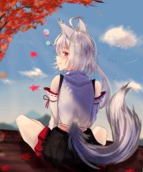 Rule 34 | 1girl, absurdres, autumn leaves, black skirt, cloud, cloudy sky, falling leaves, highres, inubashiri momiji, kh4c, kitsune, leaf, looking at viewer, looking back, red eyes, shirt, short sleeves, skirt, sky, smile, solo, tail, touhou, tree, white hair, white shirt